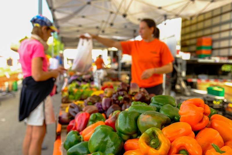 BirminghamFarmersMarket-230903-1377-059